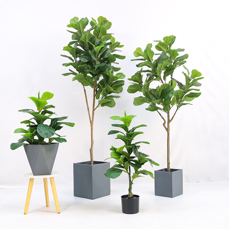 Ficus Lyrata Tree - Tanaman Pot Plastik Buatan, Jenis Ficus