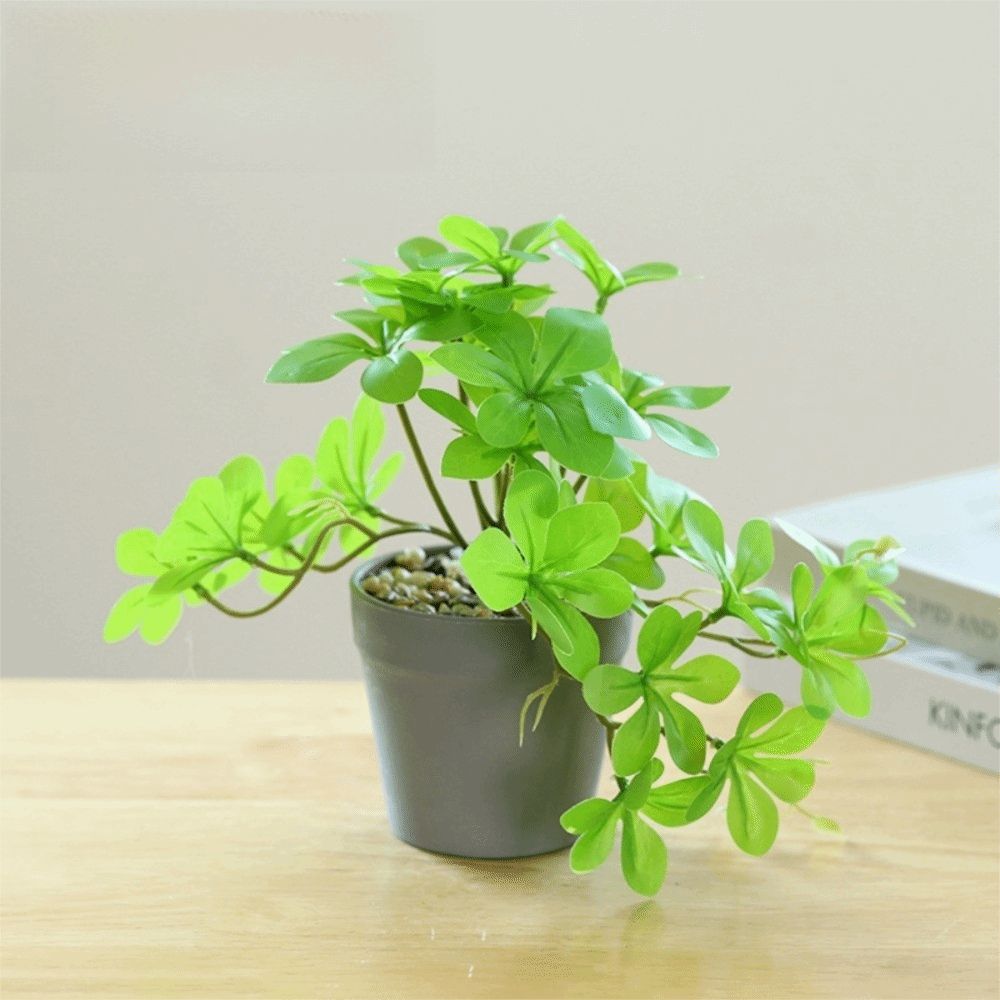 Tanaman Bonsai Buatan Tanaman  - Spider Plant Hanging ulasan dan harga