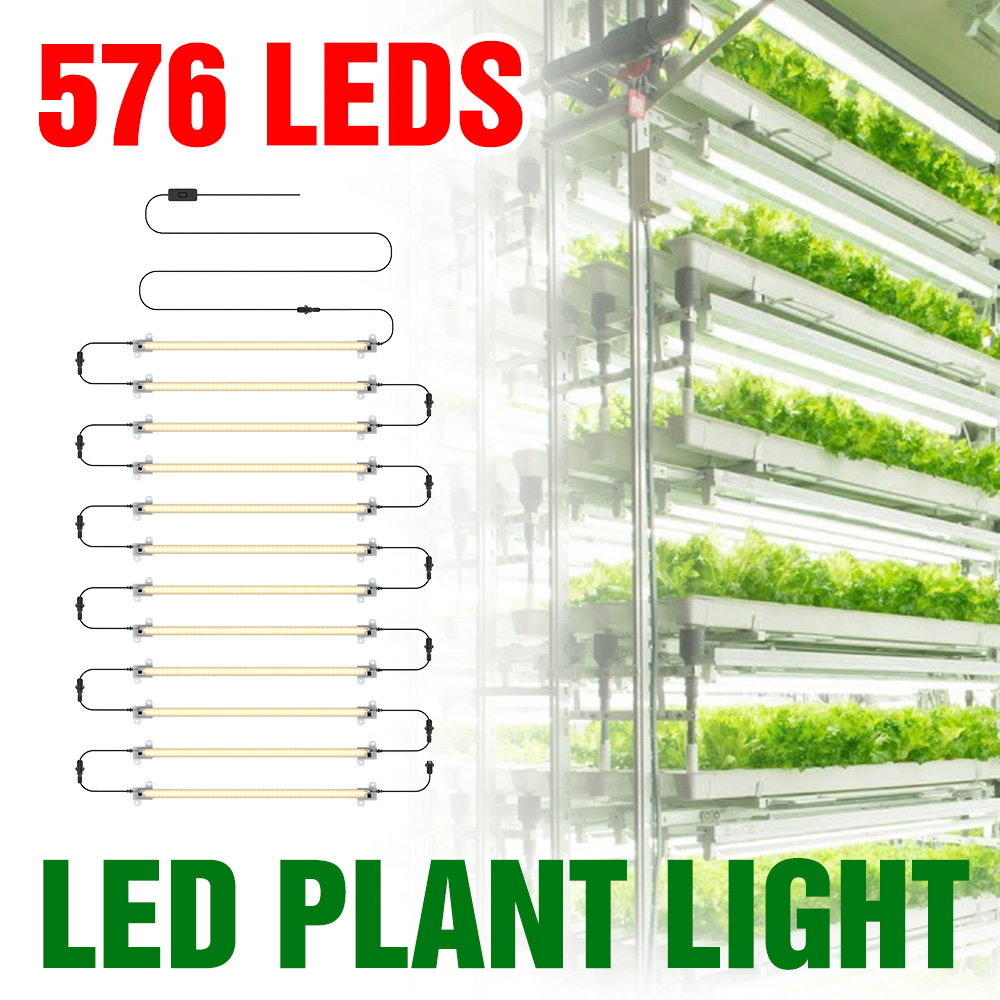 LED Lampu Tumbuh Strip Spektru - Echeveria Succulent ulasan dan harga