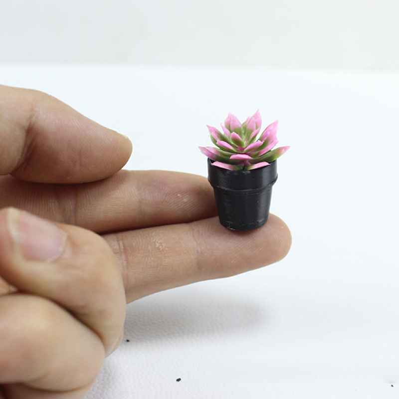 8 Buah Tanaman Pot Miniatur Pl - Echeveria Succulent ulasan dan harga